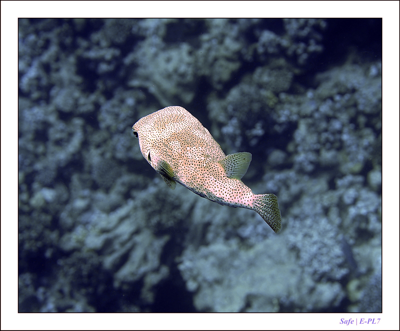 Hurghada - Juillet 2021 - 083